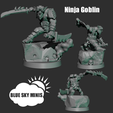 NINJA-GOBLIN-STORE-IMAGE.png Ninja Goblin