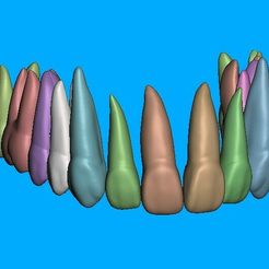 Captura-de-tela-2023-07-22-141708.jpg STL file Upper jaw - teeth with roots.・Template to download and 3D print