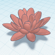 Fleur-de-nénuphar.png Water lily flower compatible with mBot