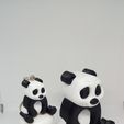 IMG_20200222_185757.jpg PANDA