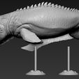 A10.jpg STL-Datei Mosasaurus・Modell zum Herunterladen und 3D-Drucken
