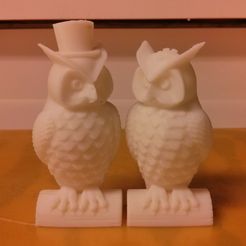 Owl_Pair_bigprint.jpg His and Her Owls (MakerWare-friendly!)