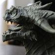13.JPG Varanur Dragon Head - 3D Printing Files