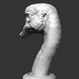 07.png Ostrich Head AM31 3D print model