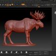 Moose-Sculpture-Zbrush-01.jpg Elch-Skulptur