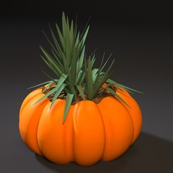 1.jpg planter pumpkin