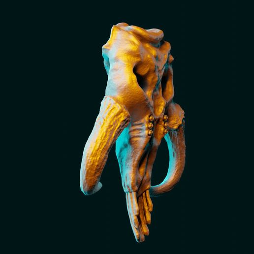 💀 Mythosaur Skull - Inspired by The Mandalorian・ STL File for 3D ...
