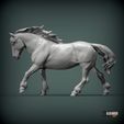 Percheron-running1.jpg Percheron läuft 3D-Druckmodell
