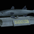 Barracuda-mouth-statue-4.png fish great barracuda / Sphyraena barracuda open mouth statue detailed texture for 3d printing