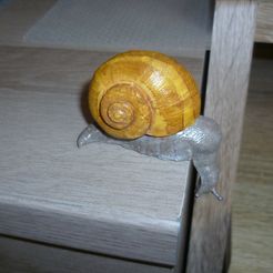 P1120258.jpg Free STL file Snail・3D printer model to download