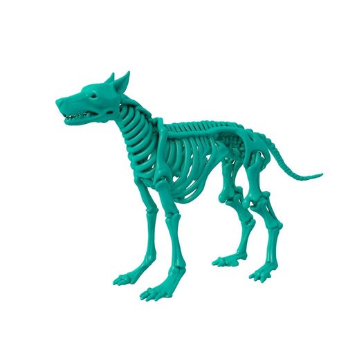 dog skeleton / skeleton stl / hand skeleton / foot skeleton / skull / thoracic skeleton / animal skeleton /halloween skeleton 3D model
