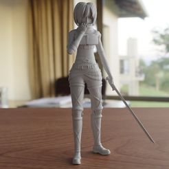 05.jpg Mikasa Shingeki no Kyojin Season 4 3D print
