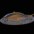 carp-high-quality-klacky-1-10.png big carp 2.0 underwater statue detailed texture for 3d printing