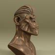 Screenshot-2025-03-04-at-9.22.47 pm.png APE.X - ANCESTOR PRIME - CHIMP MONKEY BUST