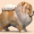 CC03.png Cute Chow Chow STL and VRML