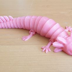 Axolotl articulé
