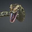 09.jpg DOWNLOAD PYTHON 3d model - animated for blender-fbx-unity-maya-unreal-c4d-3ds max - 3D printing PYTHON SNAKE ANACONDA SNAKE ANACONDA VIPER SNAKE PYTHON COBRA PITON BASILIK BOA