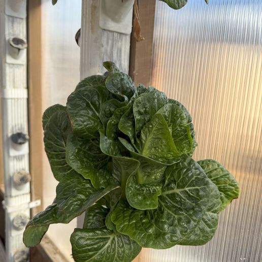 IMG_6398.jpg Upgraded Vertical Hydroponic Netpot Mount V2.0