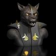 Anubis_Wulf1.jpg Wolf-Dog-Anubis Bust