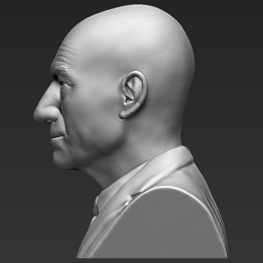professor-x-charles-xavier-bust-ready-for-full-color-3d-printing-3d-model-obj-mtl-fbx-stl-wrl-wrz-2.jpg Professor X Charles Xavier from X-Men bust full color 3D printing