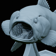 Bass-trophy-46.png Largemouth Bass / Micropterus salmoides fish in motion trophy statue detailed texture for 3d printing
