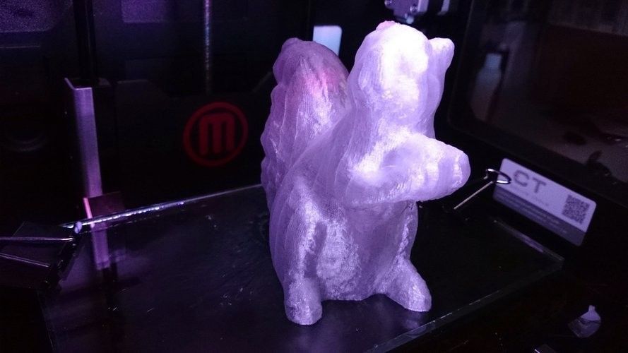Archivo STL gratis Squirrel Scan・Diseño de impresora 3D para descargar ...