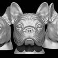 BULLDOG2.jpg French Bulldog