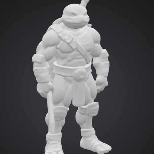 teenage mutant ninja turtles