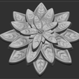 000.png Flor, Cato, Suculenta, Folhas de suculenta, Flor de Natal, Folhas de suculenta, Flor de estrela