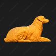 575-Australian_Shepherd_Dog_Pose_09.jpg Australian Shepherd Dog 3D Print Model Pose 09