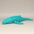 4.jpg Articulated Humpback Whale