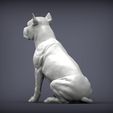 American-Staffordshire-Terrier6.jpg American Staffordshire Terrier 3D print model