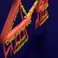 PS0078.jpg Human arterial system schematic 3D