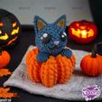 hfgdjgfhdjj-00;00;00;01.jpg Crocheted Cat and Pumpkin