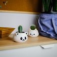 DSCF2925.jpg Cute Panda Planter