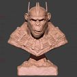 10.jpg Kingdom of The Planet of The Apes Bust