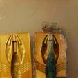 20190815_192252.jpg Free STL file Craw Mold for Silicone Soft Bait・3D printing design to download