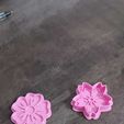Imagen-de-WhatsApp-2024-09-27-a-las-13.17.14_53337b67.jpg coockie cutter flowers / Cortante de galletitas de flores / Flower biscuit cutter