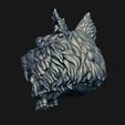 4.jpg Skull wolf scalp