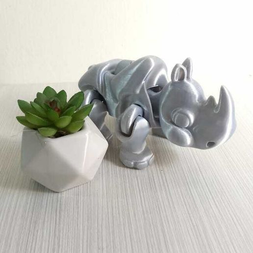 WhatsApp-Image-2024-02-15-at-8.31.20-AM-2.jpeg Flexi Rhino Runner