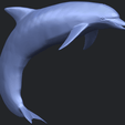 27_TDA0613_Dolphin_03B07.png Dolphin 03