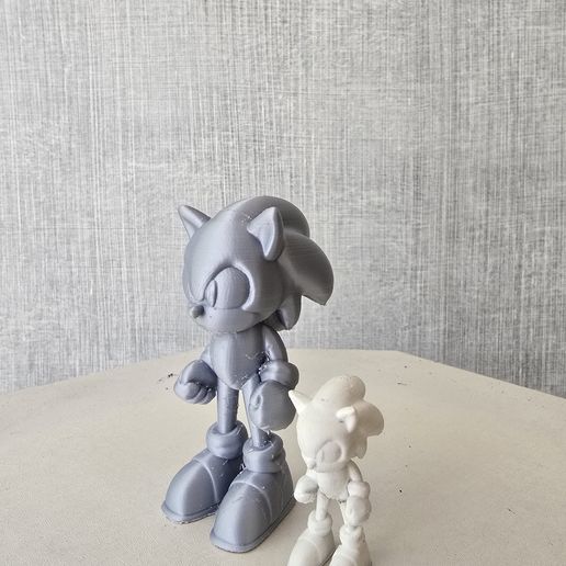 20251107_134432.jpg Sonic