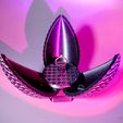Dragon-Egg-Top.jpg Dragon Egg Mechanical Gift Box