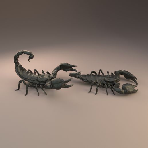 Emperor_scorpion_2.jpg Download file Emperor scorpion for 3D printing - pre supported • 3D print template, Nikola_Roglic
