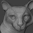 Screenshot_47.jpg 3Dmodel STL Statuette Sitting Cat