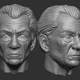 Screenshot_6.jpg Ian McKellen and Magneto head - Printable 3d impression