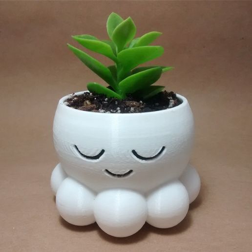 2.jpg Cute Octopus Planters