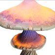 5.jpg Mushroom Giant FOREST NATURE GRASS VEGETABLE FRUIT TREE FOOD WORLD LANDSCAPE MAGIC Mushroom MUSHROOM