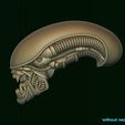 12.jpg Xenomorph Alien biomechanical head