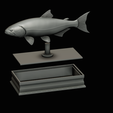 golden-dorado-statue-box-1-49.png fish golden dorado / Salminus brasiliensis with storage space / for 3d printing